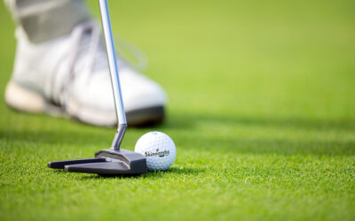 Fotografering Skinnarebo Golf & Country Club